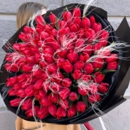 Пламя Вулкана 0