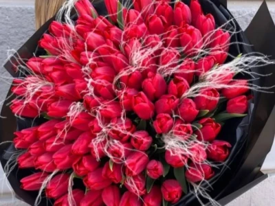 Пламя Вулкана