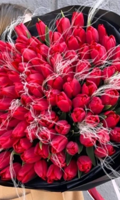 Пламя Вулкана