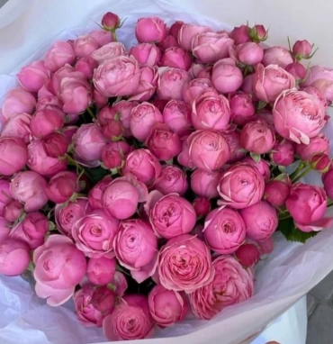 Малиновый закат