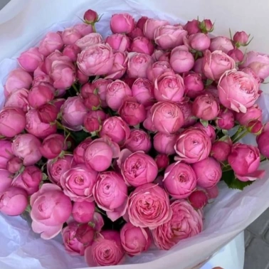 Малиновый закат