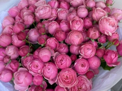 Малиновый закат