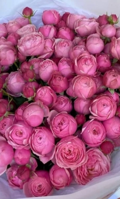 Малиновый закат