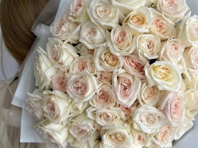 Молочный шелк