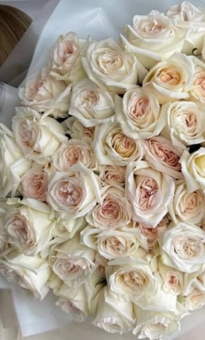 Молочный шелк