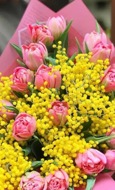 Букет из Тюльпанов и мимозы «Яркий»