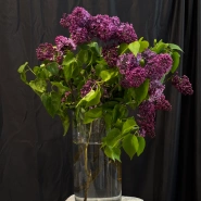 Букет из сирени &laquo;Аромат весны&raquo; 0