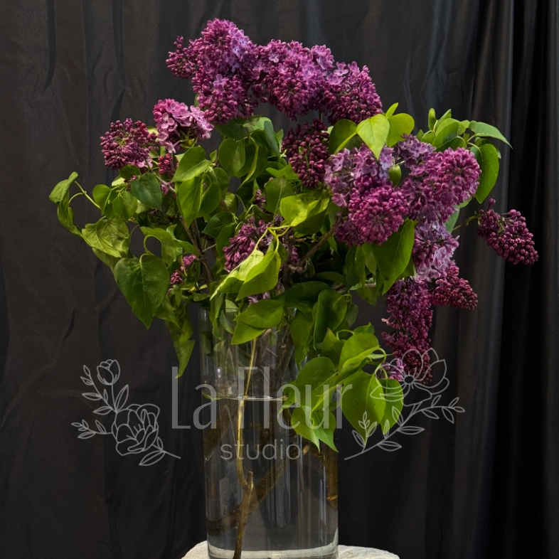 Букет из сирени &laquo;Аромат весны&raquo;