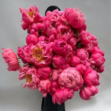 Букет из пионов «Сочные краски»