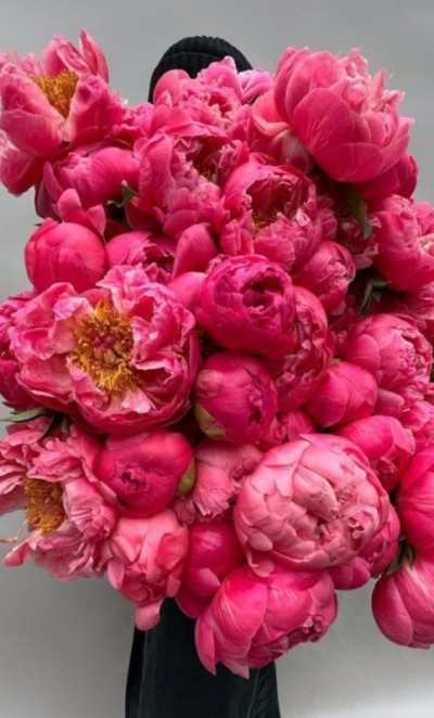 Букет из пионов «Сочные краски»