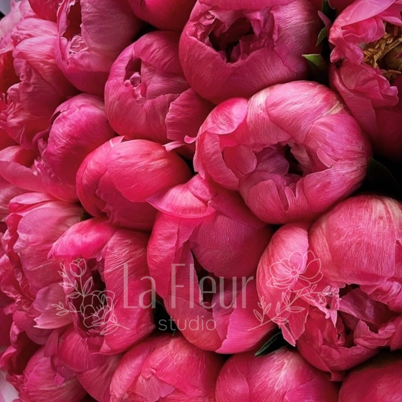 Букет из пионов &laquo;Сочные краски&raquo;