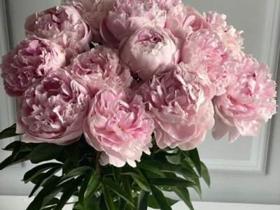 Букет из пионов «Розовое облако»