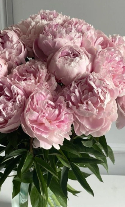 Букет из пионов «Розовое облако»