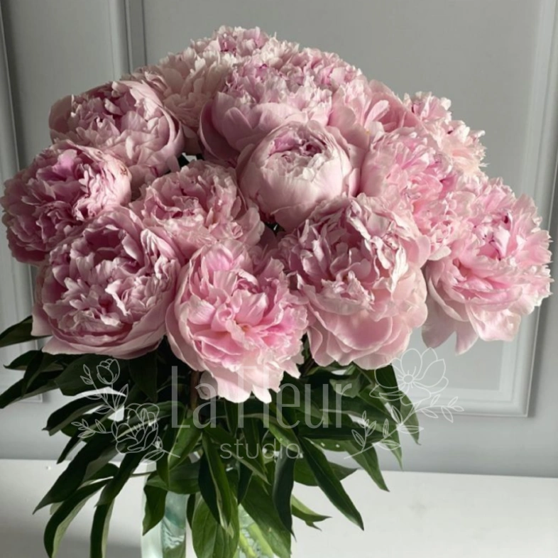 Букет из пионов &laquo;Розовое облако&raquo;